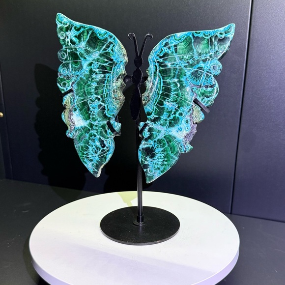 Chrysocolla and Malachite Custom Butterfly and Stand - CHRYSOBTFLY - Picture 4 of 8
